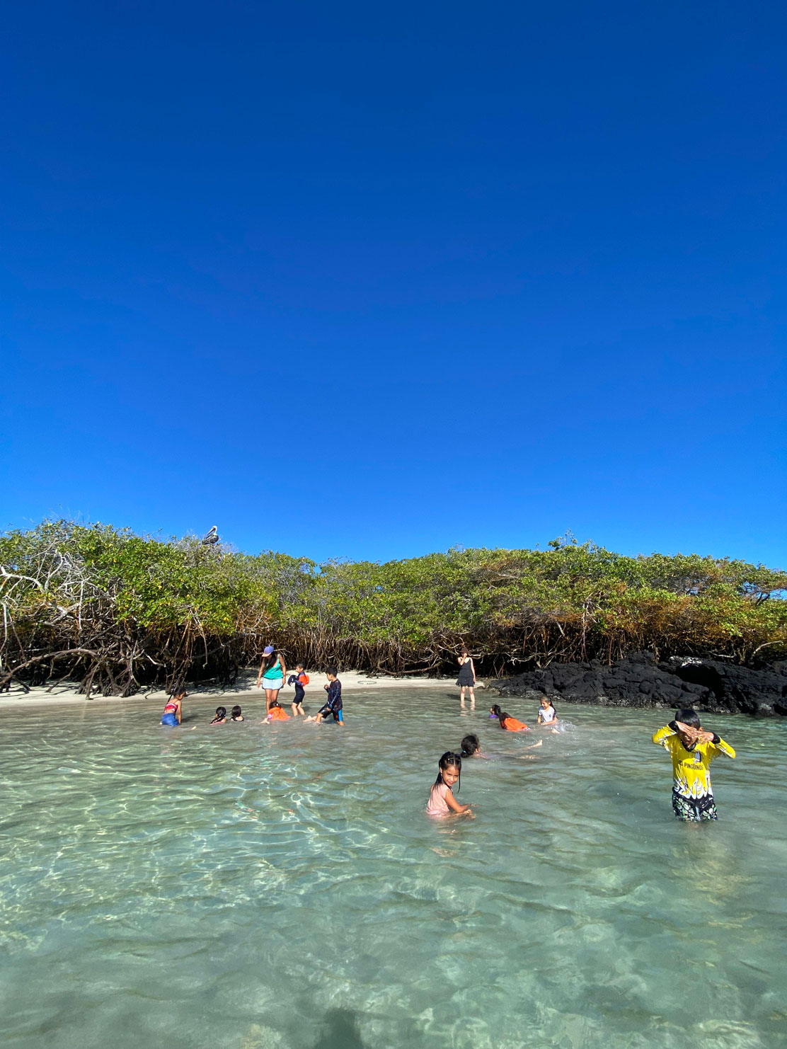 UFFF volunteer activity